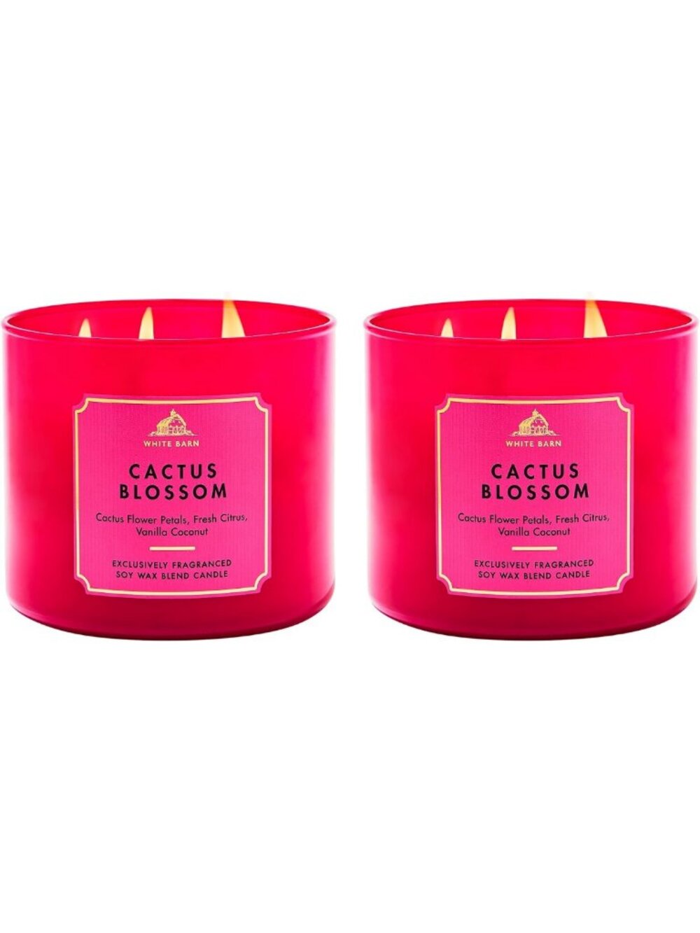 Cactus Blossom 3-Wick Candle Set | Soy Wax Blend | Home Fragrance Duo